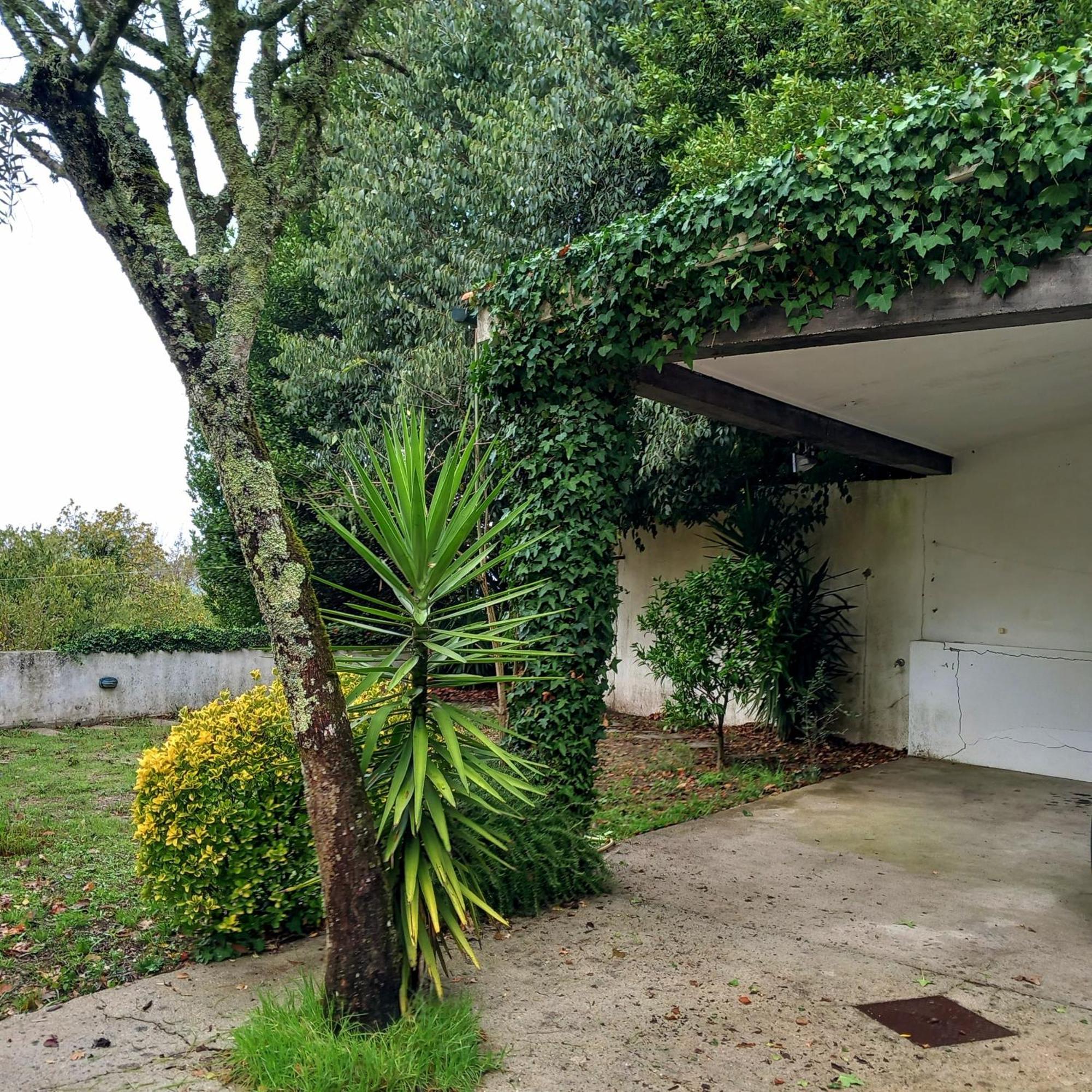 Casa Amarante Porto Villa Luaran gambar